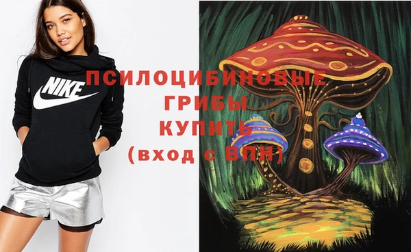 дурь Майский