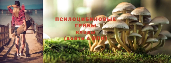 тгк Магадан