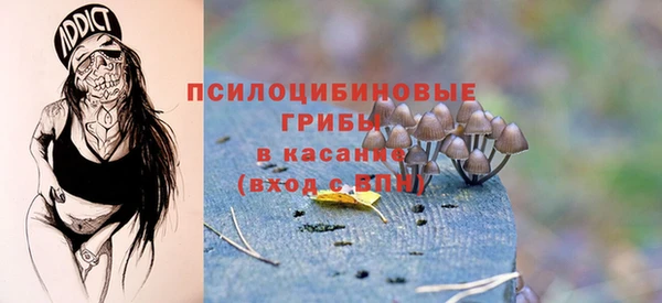 дурь Майский