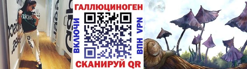Галлюциногенные грибы Cubensis  Купить  Бийск 